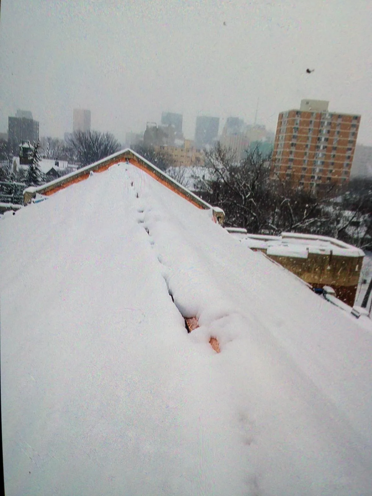 Snow-laden roof ridge with the Edmonton skyline in the background